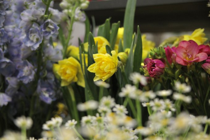 Un peu de printemps à la boutique